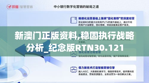 新澳门正版资料,稳固执行战略分析_纪念版RTN30.121