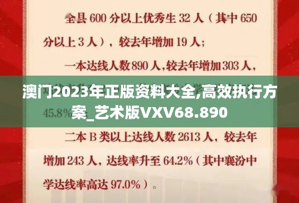 澳门2023年正版资料大全,高效执行方案_艺术版VXV68.890