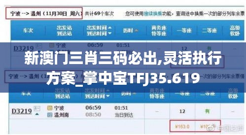 新澳门三肖三码必出,灵活执行方案_掌中宝TFJ35.619
