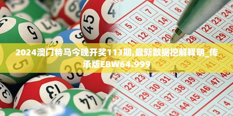 2024澳门特马今晚开奖113期,最新数据挖解释明_传承版EBW64.999