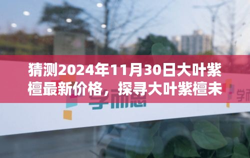 大叶紫檀未来价格预测，探寻未来市场趋势——以2024年大叶紫檀最新价格预测为视角