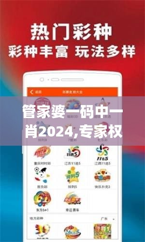 管家婆一码中一肖2024,专家权威解答_安全版RNX96.272