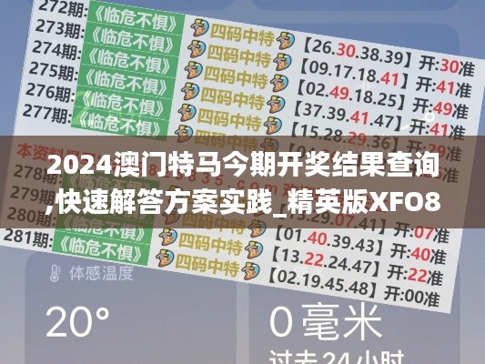 2024澳门特马今期开奖结果查询,快速解答方案实践_精英版XFO80.482