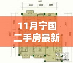 宁国二手房市场最新动态揭秘，11月房源探秘与市场脉动