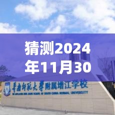 2024年11月 第10页