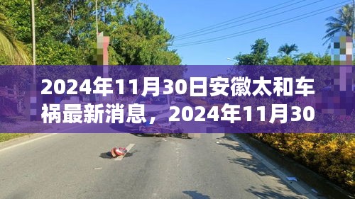 安徽太和车祸最新消息及深度分析（2024年11月30日）