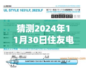 住友电工电子厂最新招聘应聘全攻略，初学者与进阶用户适用的攻略（预测至2024年11月）