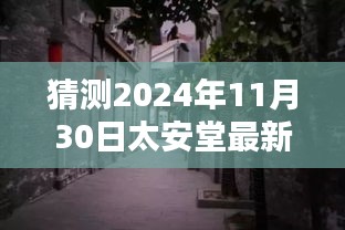 太安堂最新动态揭秘，2024年11月30日的独特风味与惊喜探索