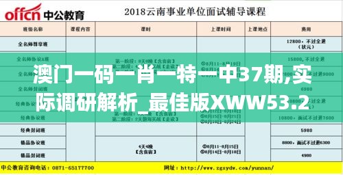 澳门一码一肖一特一中37期,实际调研解析_最佳版XWW53.226