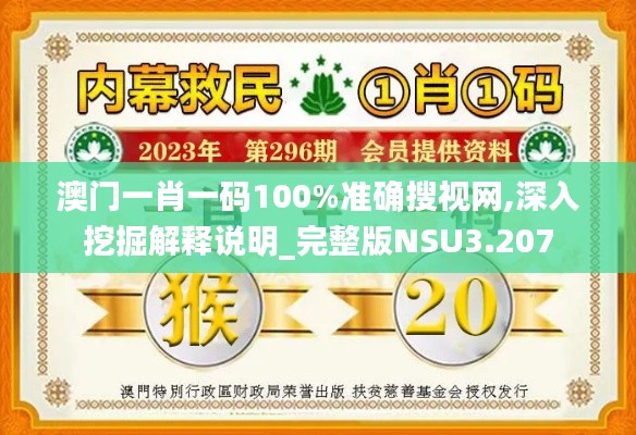 澳门一肖一码100%准确搜视网,深入挖掘解释说明_完整版NSU3.207