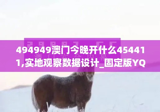 494949澳门今晚开什么454411,实地观察数据设计_固定版YQA71.823