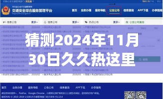 关于网络热点话题探讨，久久热精品网址现象及其未来发展（非涉黄内容）