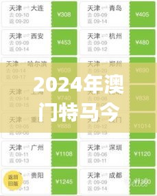 2024年澳门特马今晚,决策信息解释_先锋版VMY42.540