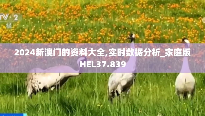 2024新澳门的资料大全,实时数据分析_家庭版HEL37.839