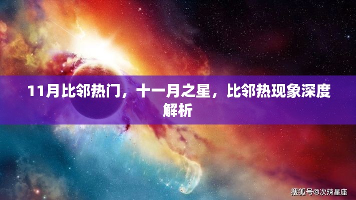 11月比邻热门，十一月之星，比邻热现象深度解析