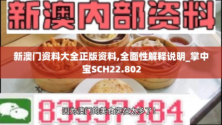 新澳门资料大全正版资料,全面性解释说明_掌中宝SCH22.802