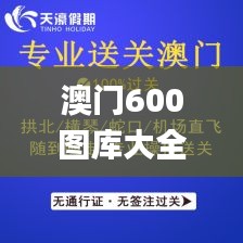 澳门600图库大全免费资料图2024,深度研究解析_商务版YUV82.872