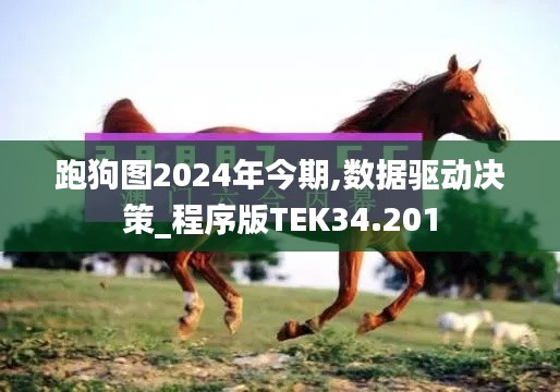 跑狗图2024年今期,数据驱动决策_程序版TEK34.201