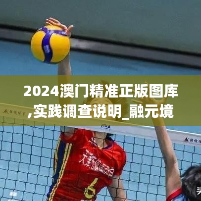 2024澳门精准正版图库,实践调查说明_融元境XNW63.881