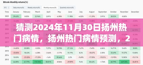 2024年11月30日扬州病情预测与深度洞察，影响与展望