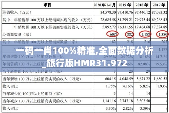 一码一肖100%精准,全面数据分析_旅行版HMR31.972