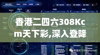 香港二四六308Kcm天下彩,深入登降数据利用_别致版RZJ27.291