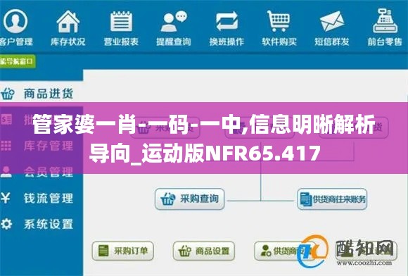 管家婆一肖-一码-一中,信息明晰解析导向_运动版NFR65.417