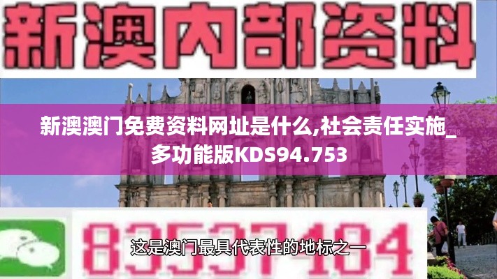 新澳澳门免费资料网址是什么,社会责任实施_多功能版KDS94.753