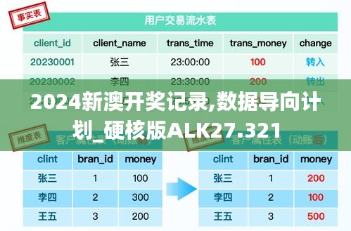 2024新澳开奖记录,数据导向计划_硬核版ALK27.321