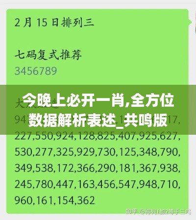 今晚上必开一肖,全方位数据解析表述_共鸣版YOT91.510