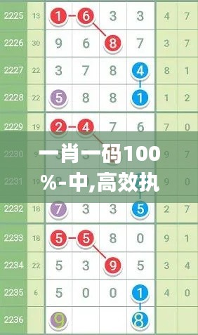 一肖一码100%-中,高效执行方案_闪电版SCT30.431