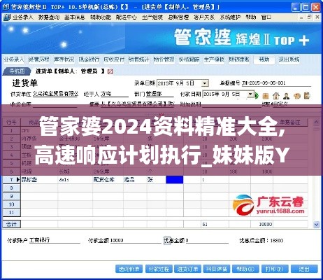 管家婆2024资料精准大全,高速响应计划执行_妹妹版YUO78.268