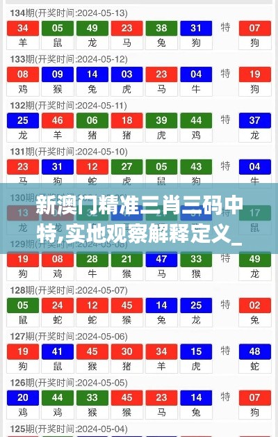 新澳门精准三肖三码中特,实地观察解释定义_迅捷版XOJ52.707