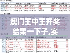 澳门王中王开奖结果一下子,实证数据分析_影音体验版PYU12.434