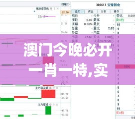 澳门今晚必开一肖一特,实地观察解释定义_同步版QWQ85.491