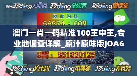 澳门一肖一码精准100王中王,专业地调查详解_原汁原味版JOA63.883