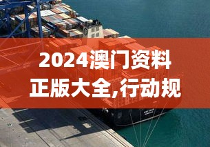 2024澳门资料正版大全,行动规划执行_套件版YKL43.467