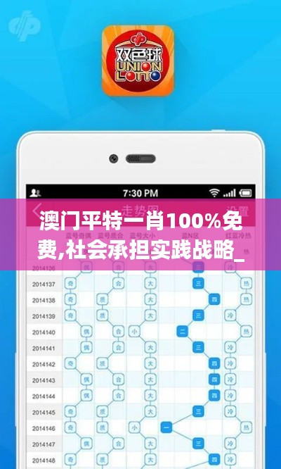 澳门平特一肖100%免费,社会承担实践战略_收藏版RWN58.823