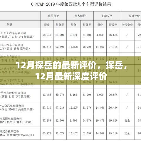 探岳深度评价，最新反馈与体验分享（十二月版）