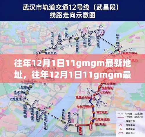 往年12月1日11gmgm最新地址及全面评测介绍