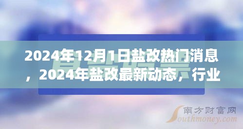 2024年盐改最新动态与行业变革展望，市场趋势与市场反应