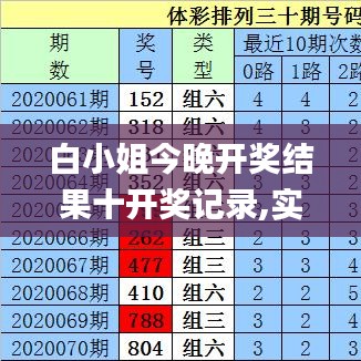 白小姐今晚开奖结果十开奖记录,实践调查说明_无线版FXF7.625