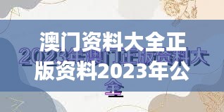 澳门资料大全正版资料2023年公开,完善实施计划_个人版TRI55.712