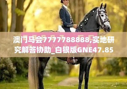 澳门马会7777788888,实地研究解答协助_白银版GNE47.854