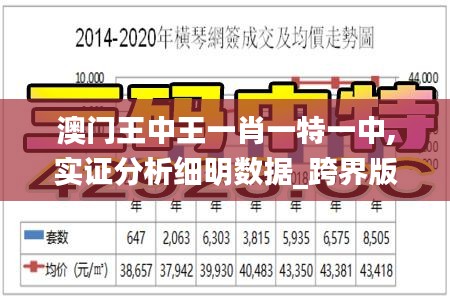 澳门王中王一肖一特一中,实证分析细明数据_跨界版SBX64.266