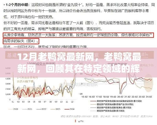 回顾老鸭窝最新网，特定领域的辉煌历程与深远影响