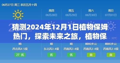 探索未来之旅，植物保姆的热门秘境，绿色征途中的内心平静之旅（预测至2024年）