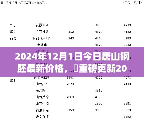 重磅揭秘，唐山钢胚最新价格及行业走势深度解析（2024年12月版）