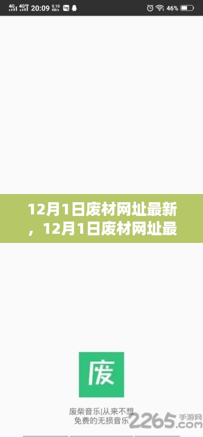 12月1日废材网址最新，全面评测与详细介绍