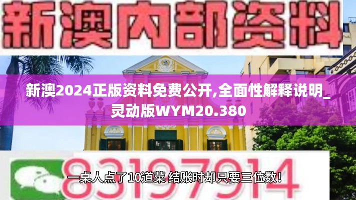 新澳2024正版资料免费公开,全面性解释说明_灵动版WYM20.380